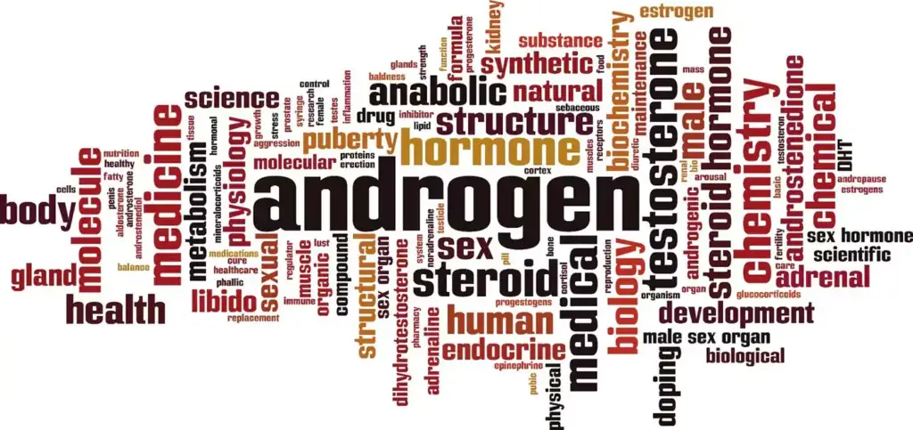 Word cloud of terms linked to the biology of hair loss