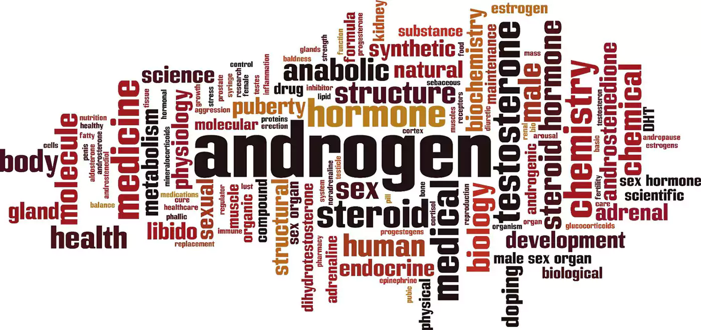 Word cloud of terms linked to the biology of hair loss