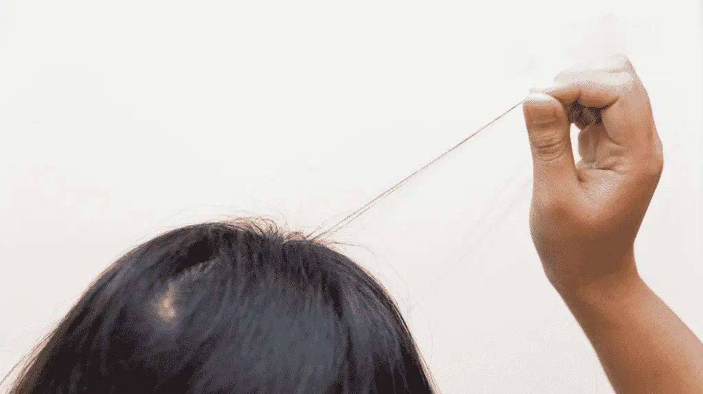 Single hair being pulled from the scalp during a hair pull test